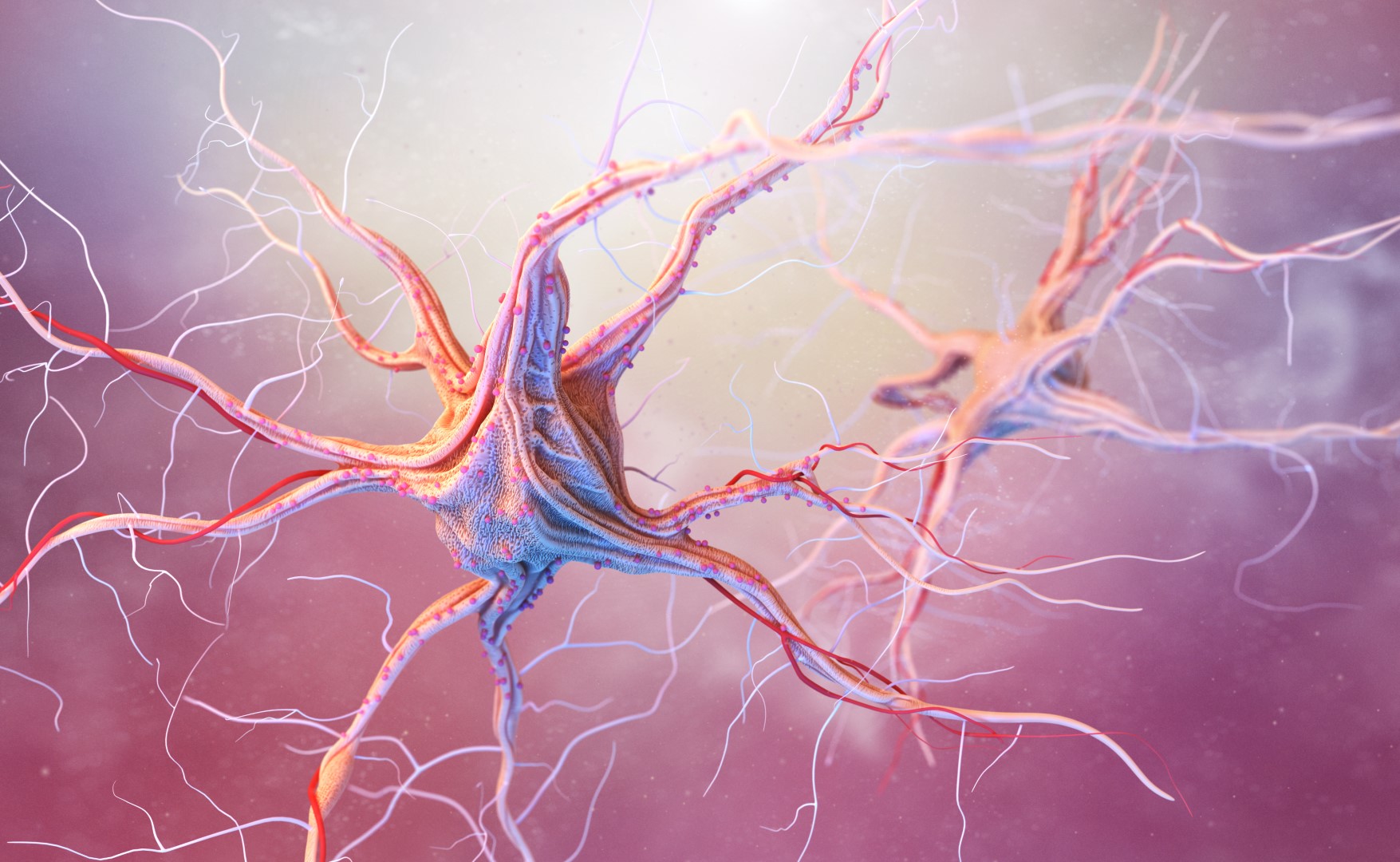 Detailed digital rendering of neuron cells